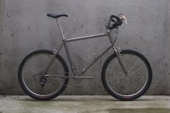 1999 WTB Phoenix Titanium #98044
