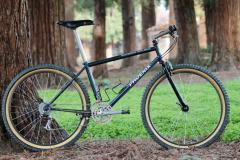 1993 WTB Phoenix SE